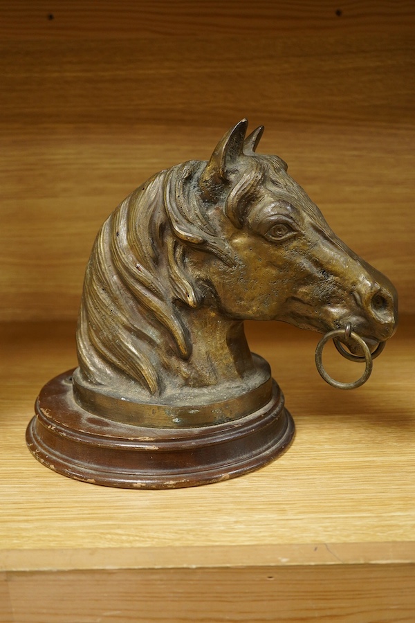 A mid 20th century mounted bronze model of a horse's head, 22cm. Condition - fair to good